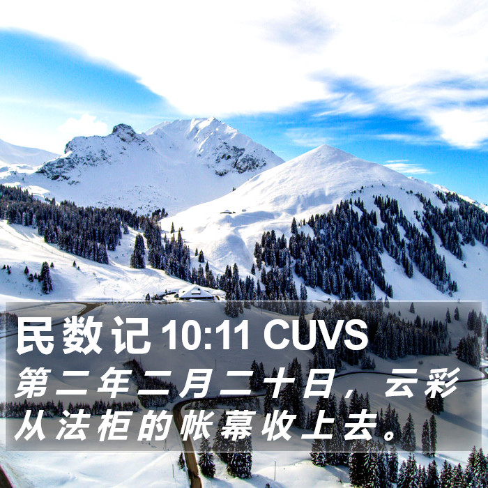 民 数 记 10:11 CUVS Bible Study