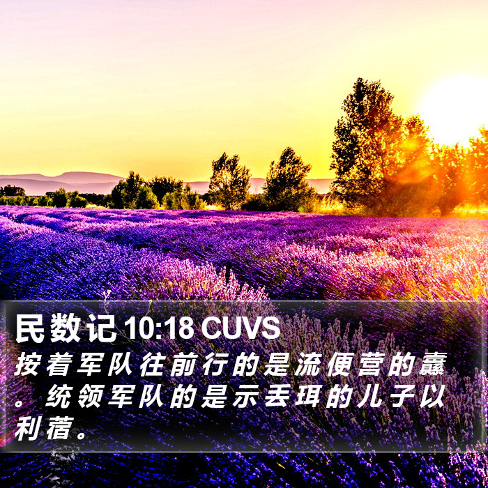 民 数 记 10:18 CUVS Bible Study