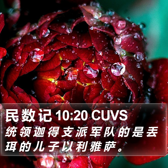民 数 记 10:20 CUVS Bible Study