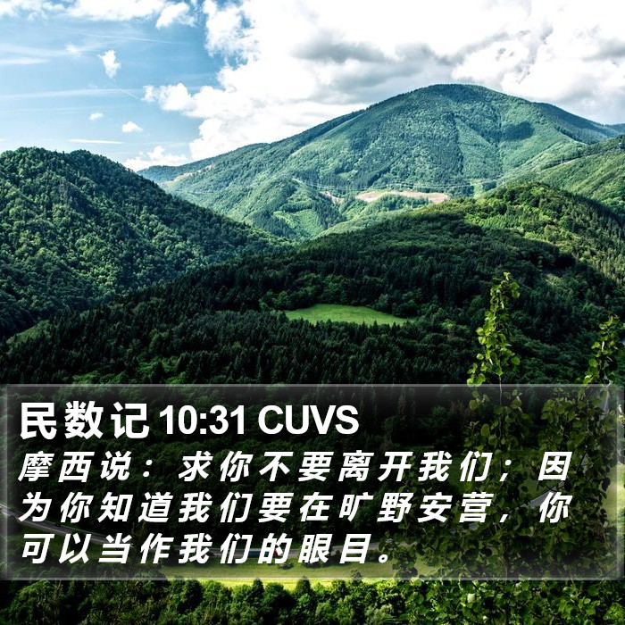 民 数 记 10:31 CUVS Bible Study