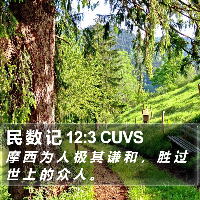 民 数 记 12:3 CUVS Bible Study