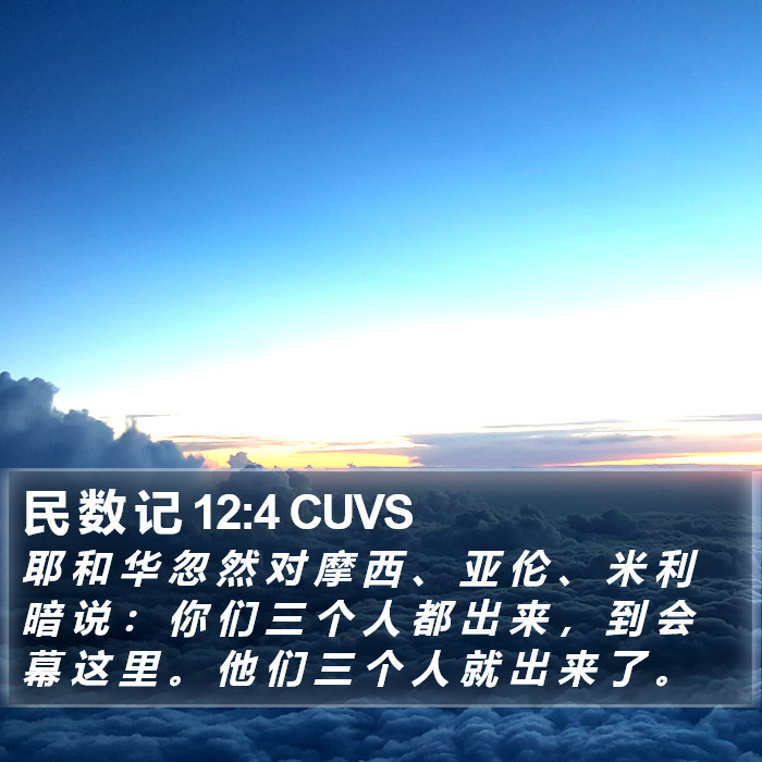 民 数 记 12:4 CUVS Bible Study