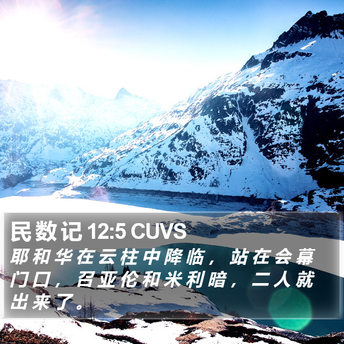 民 数 记 12:5 CUVS Bible Study