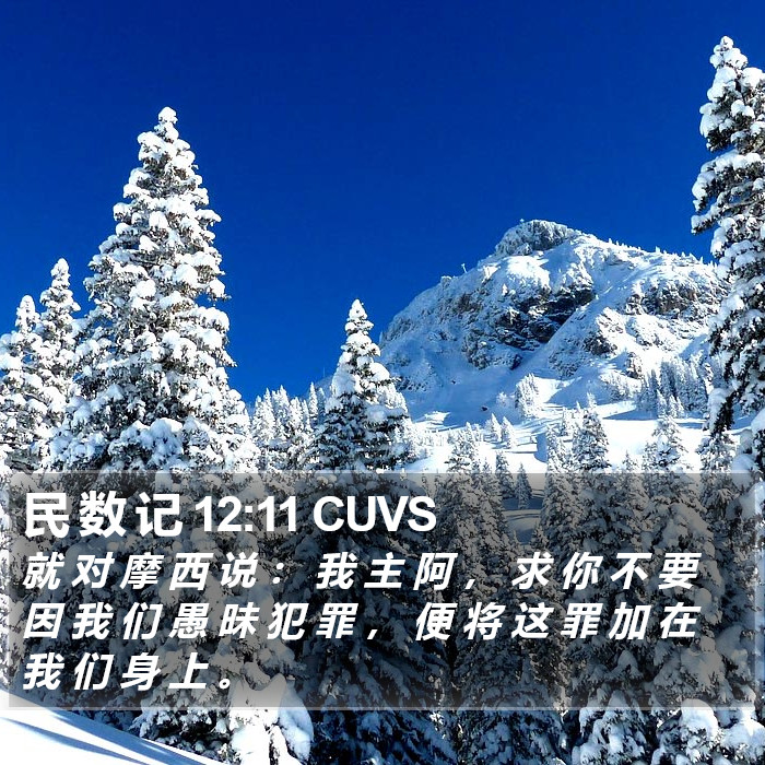民 数 记 12:11 CUVS Bible Study
