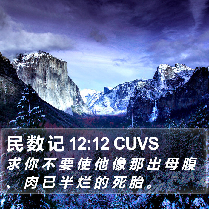 民 数 记 12:12 CUVS Bible Study