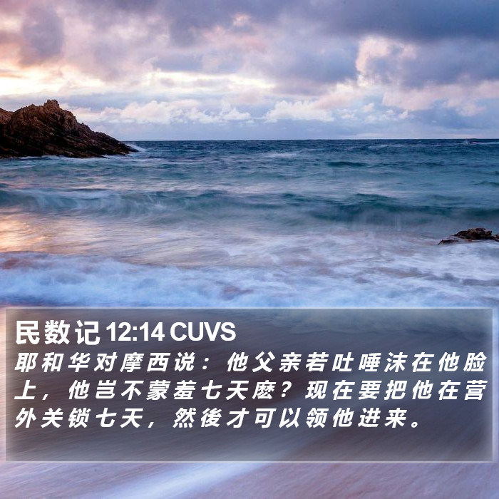民 数 记 12:14 CUVS Bible Study