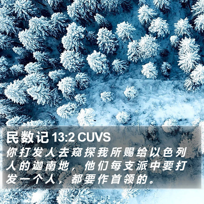 民 数 记 13:2 CUVS Bible Study