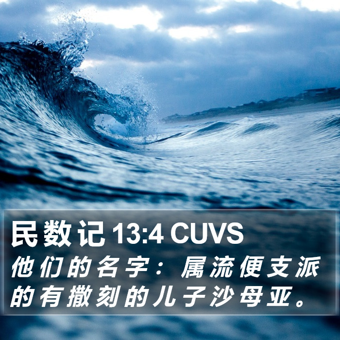 民 数 记 13:4 CUVS Bible Study