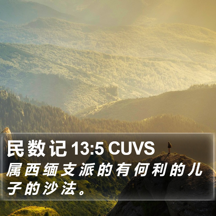 民 数 记 13:5 CUVS Bible Study