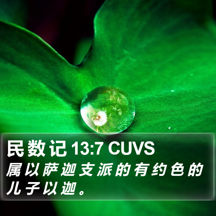 民 数 记 13:7 CUVS Bible Study