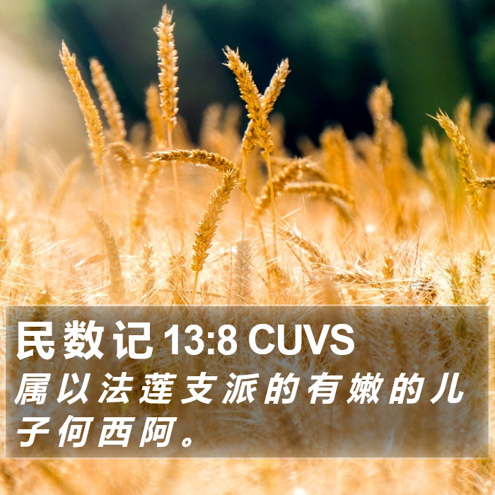 民 数 记 13:8 CUVS Bible Study