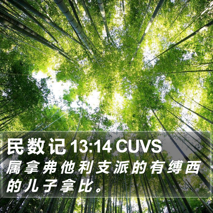 民 数 记 13:14 CUVS Bible Study