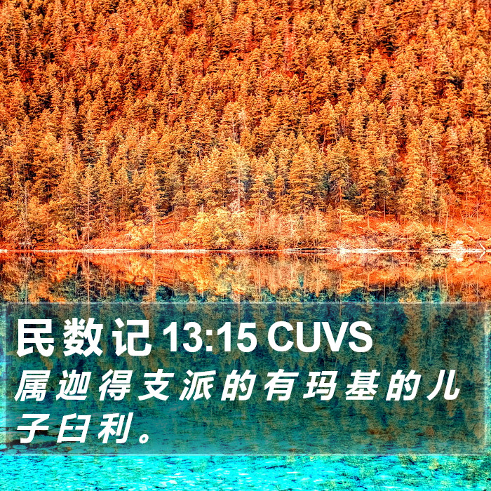 民 数 记 13:15 CUVS Bible Study