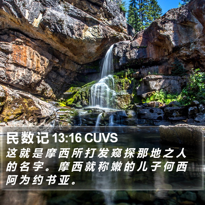 民 数 记 13:16 CUVS Bible Study