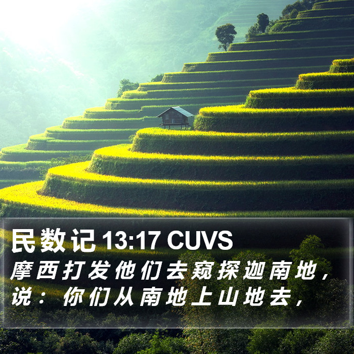 民 数 记 13:17 CUVS Bible Study