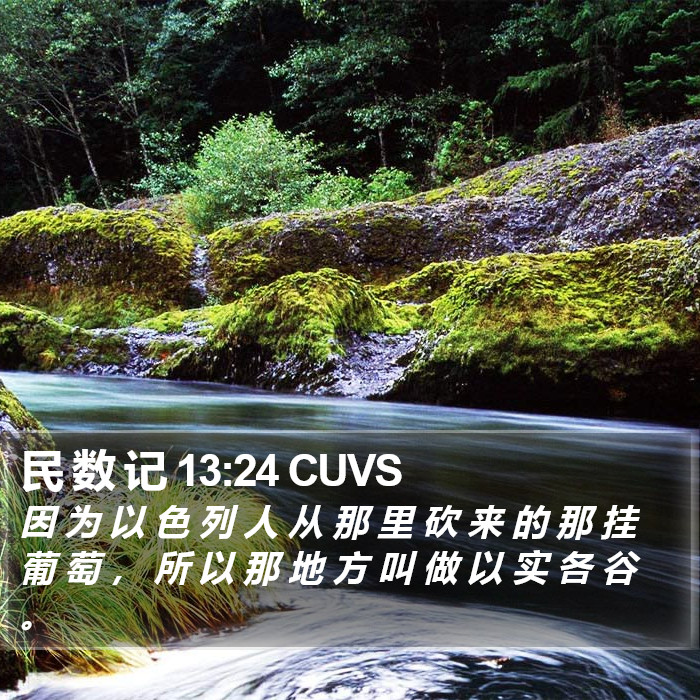 民 数 记 13:24 CUVS Bible Study