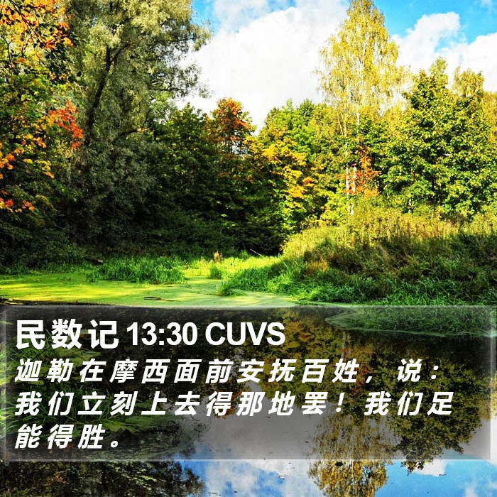 民 数 记 13:30 CUVS Bible Study