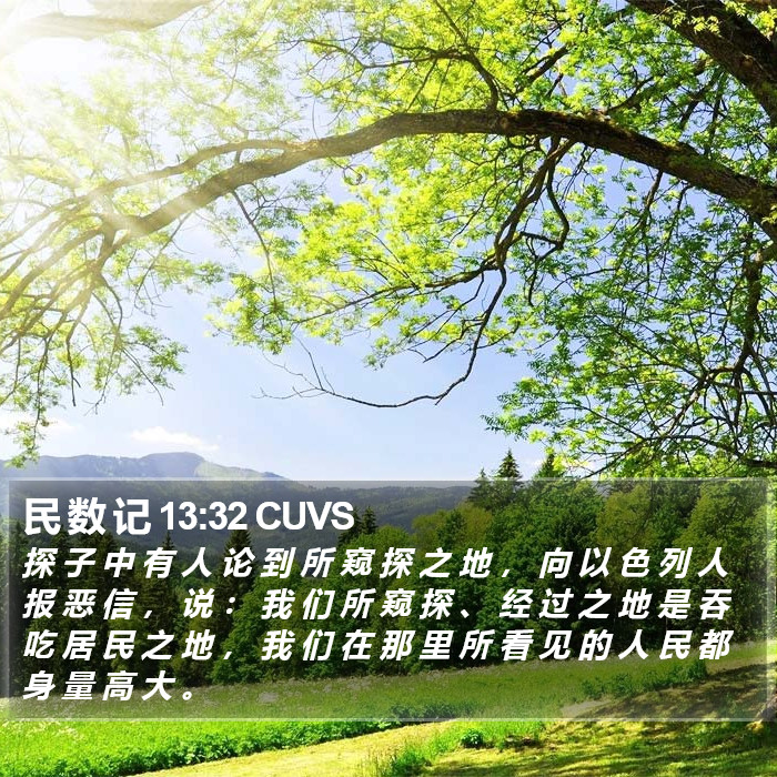 民 数 记 13:32 CUVS Bible Study