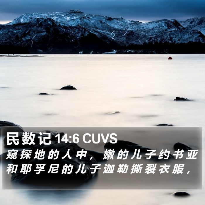 民 数 记 14:6 CUVS Bible Study