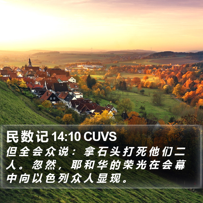 民 数 记 14:10 CUVS Bible Study