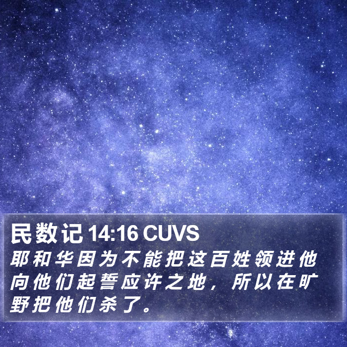 民 数 记 14:16 CUVS Bible Study
