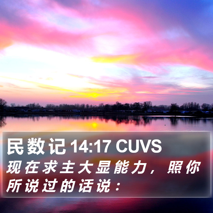 民 数 记 14:17 CUVS Bible Study