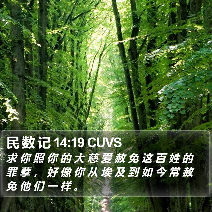 民 数 记 14:19 CUVS Bible Study