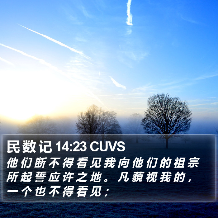 民 数 记 14:23 CUVS Bible Study