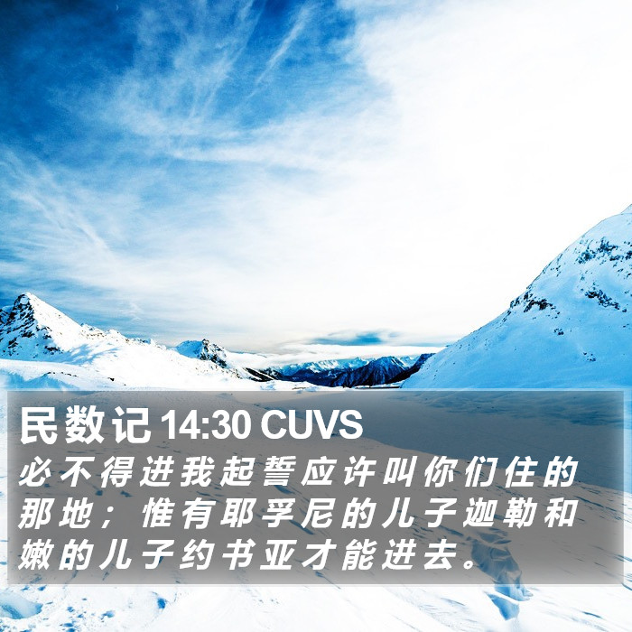 民 数 记 14:30 CUVS Bible Study