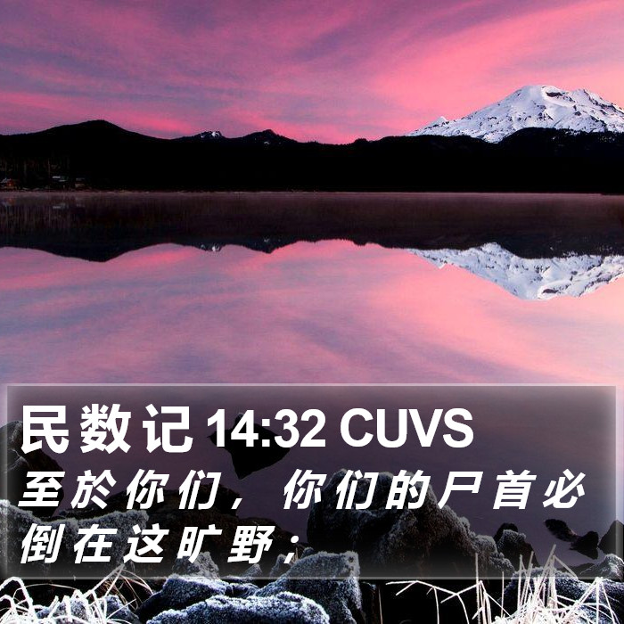 民 数 记 14:32 CUVS Bible Study
