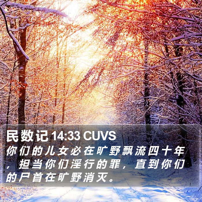 民 数 记 14:33 CUVS Bible Study