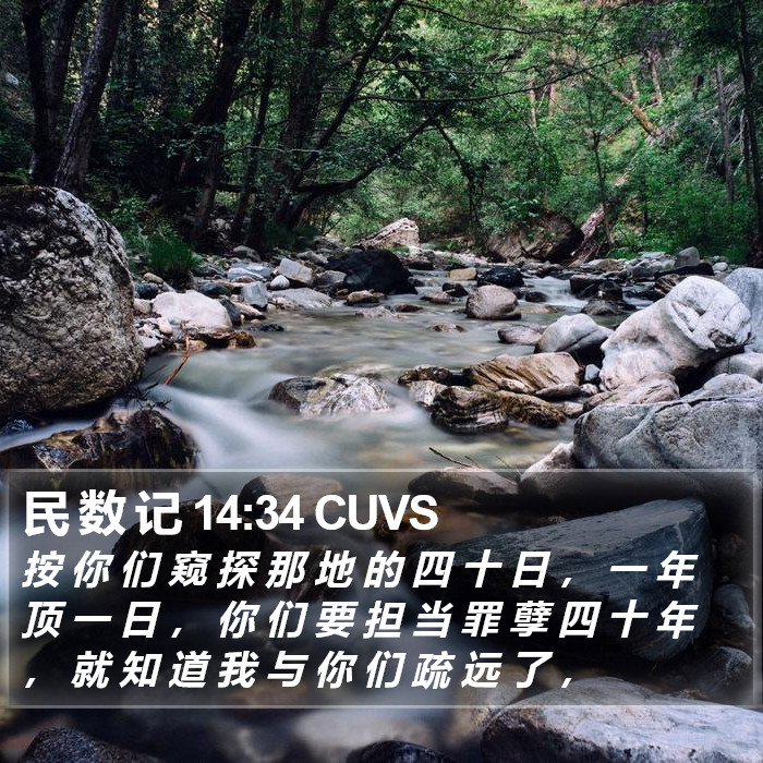 民 数 记 14:34 CUVS Bible Study