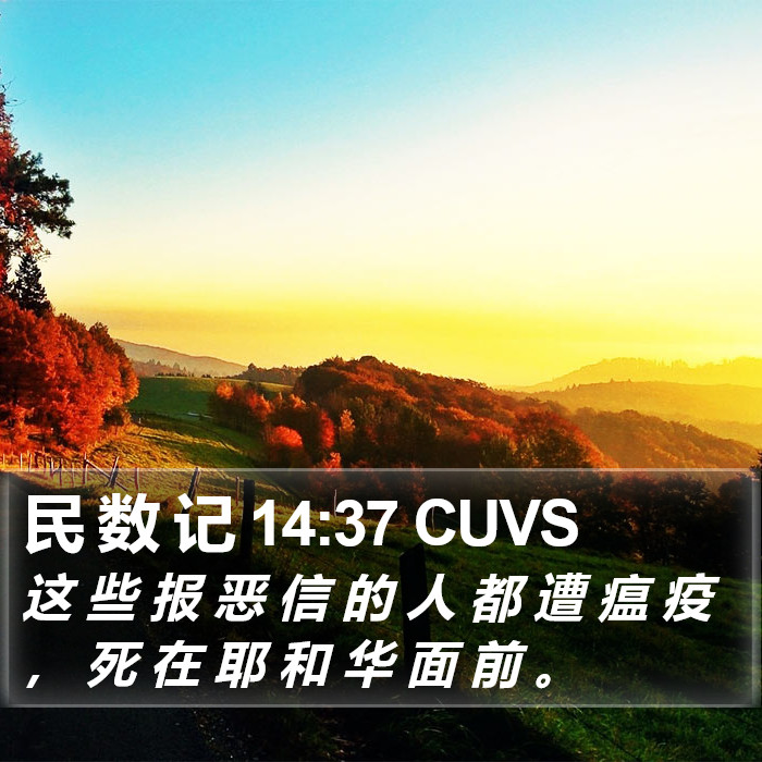 民 数 记 14:37 CUVS Bible Study