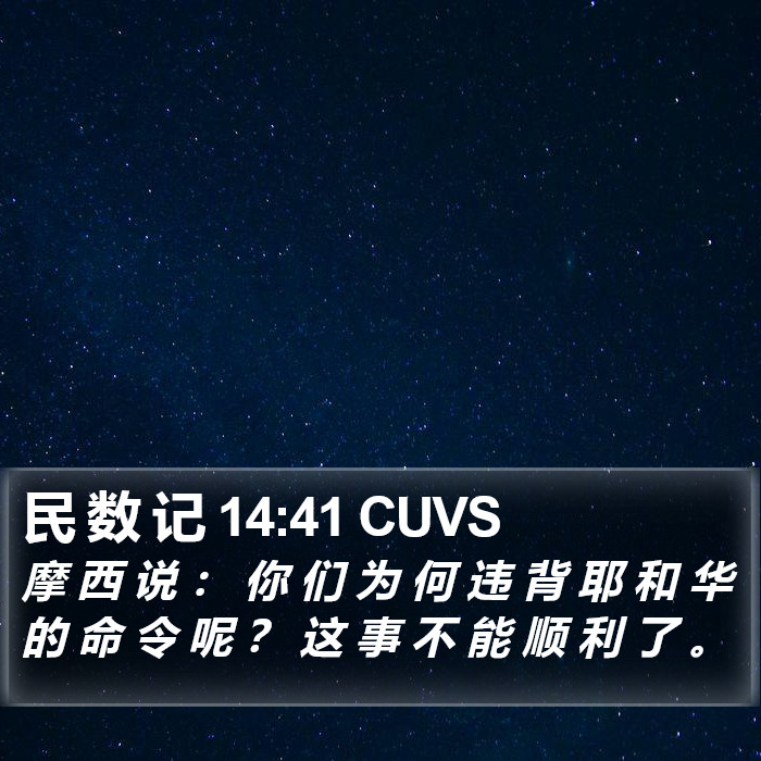 民 数 记 14:41 CUVS Bible Study