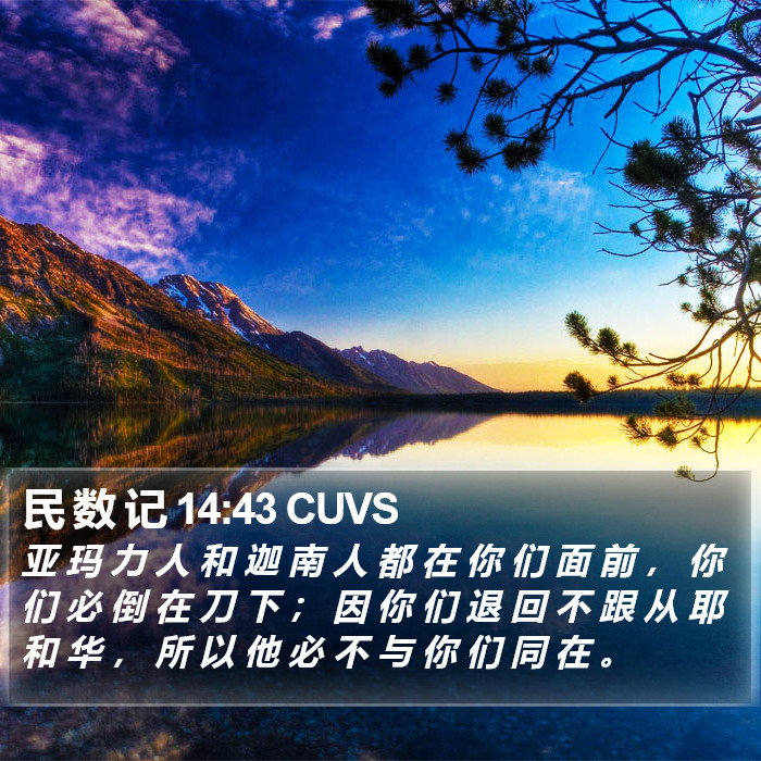 民 数 记 14:43 CUVS Bible Study