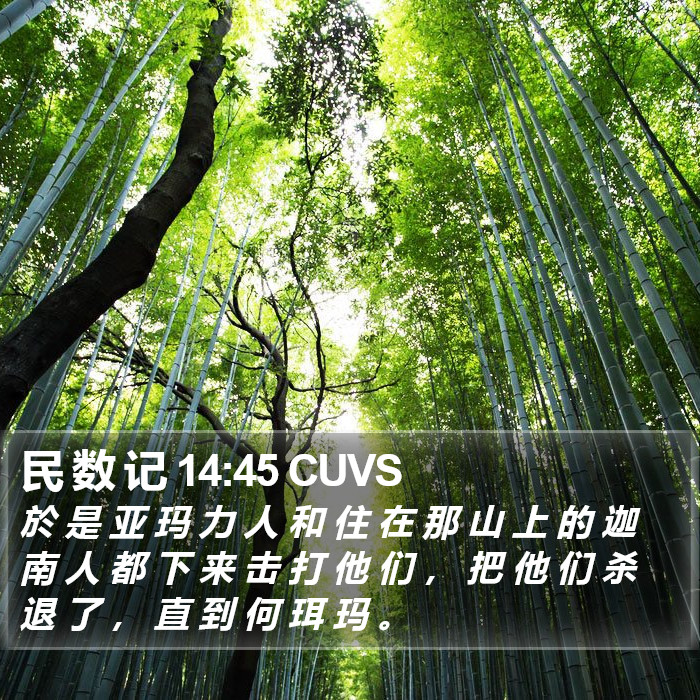 民 数 记 14:45 CUVS Bible Study