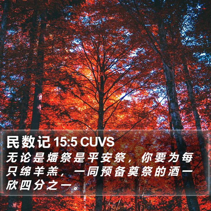 民 数 记 15:5 CUVS Bible Study