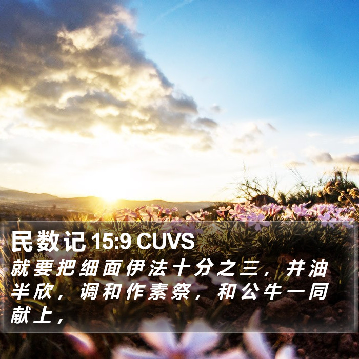 民 数 记 15:9 CUVS Bible Study