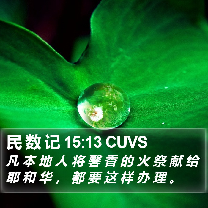 民 数 记 15:13 CUVS Bible Study