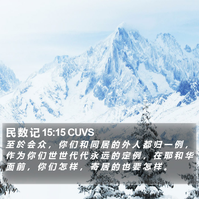 民 数 记 15:15 CUVS Bible Study