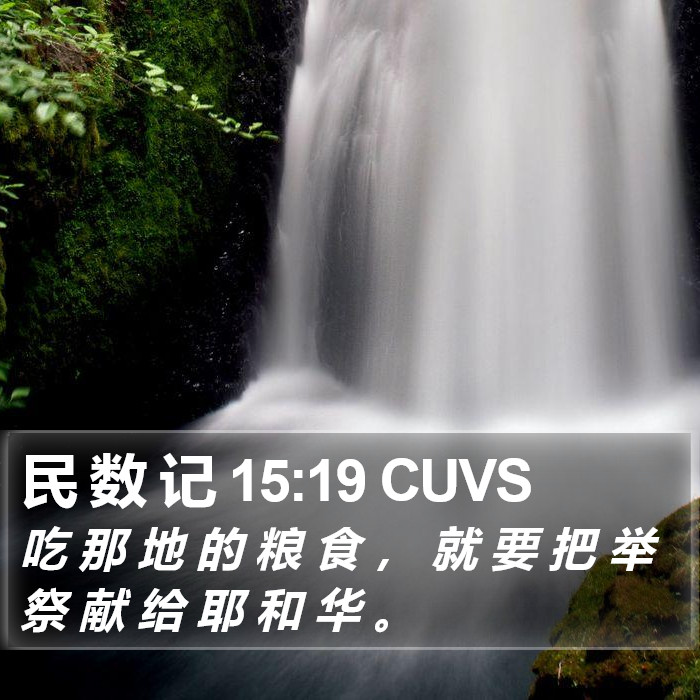 民 数 记 15:19 CUVS Bible Study