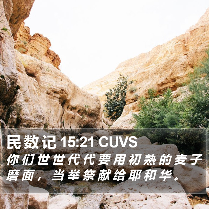 民 数 记 15:21 CUVS Bible Study