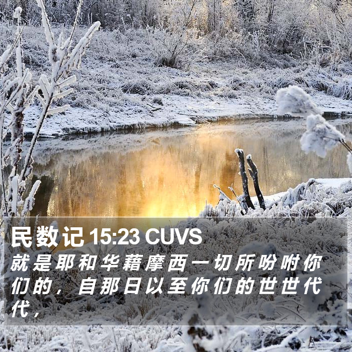 民 数 记 15:23 CUVS Bible Study