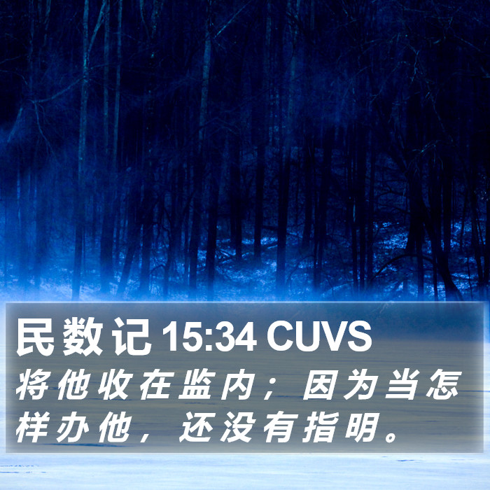 民 数 记 15:34 CUVS Bible Study