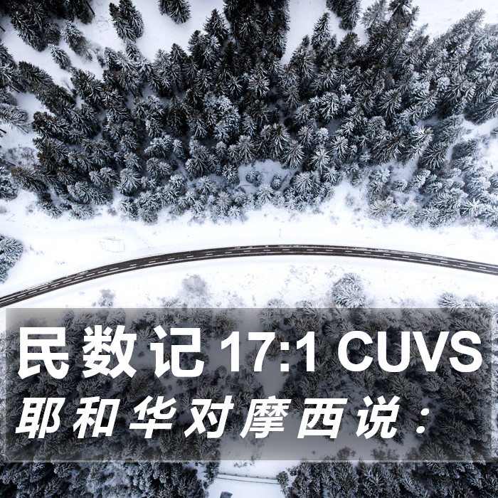 民 数 记 17:1 CUVS Bible Study