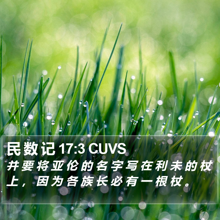 民 数 记 17:3 CUVS Bible Study