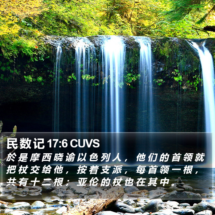 民 数 记 17:6 CUVS Bible Study