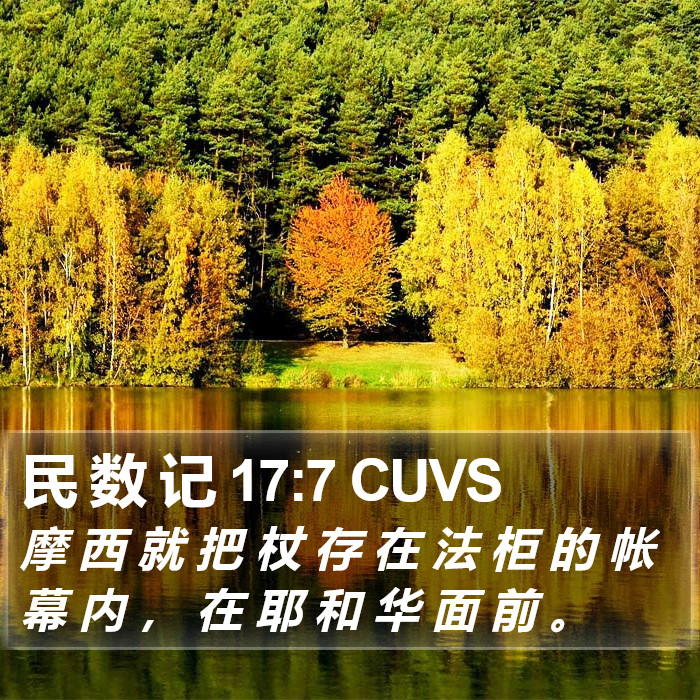 民 数 记 17:7 CUVS Bible Study
