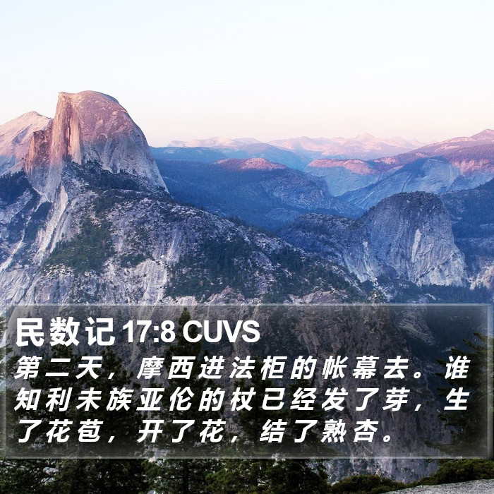 民 数 记 17:8 CUVS Bible Study