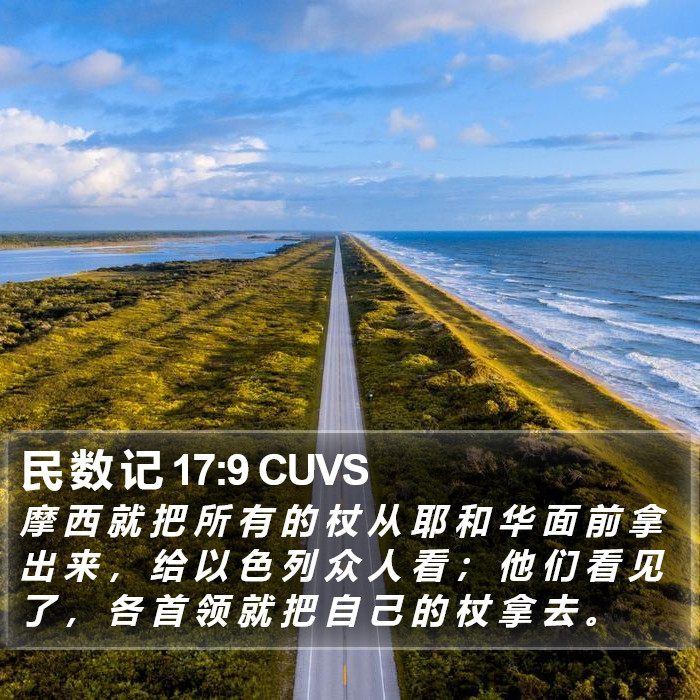 民 数 记 17:9 CUVS Bible Study